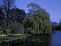Syon Park London